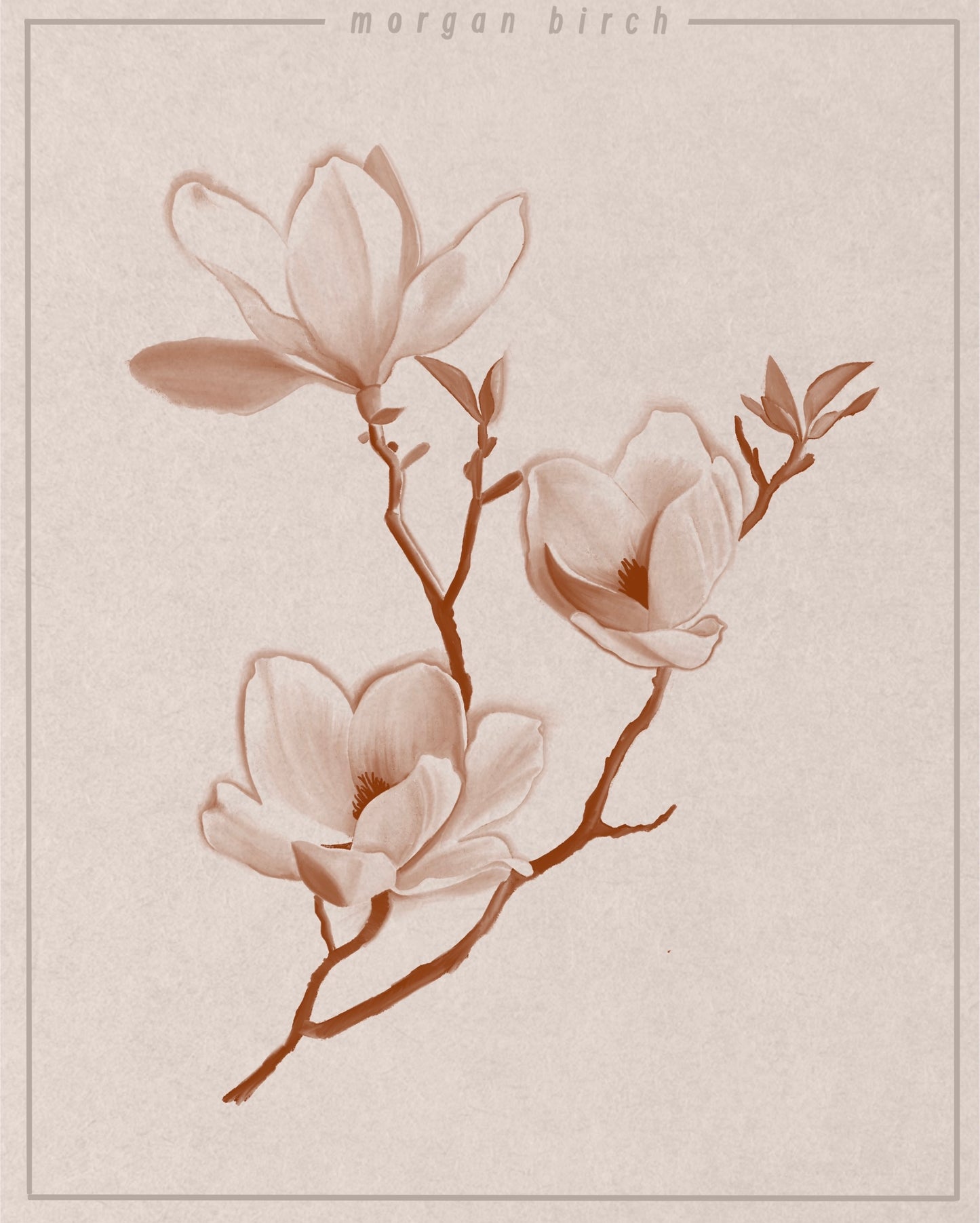 Magnolias Flash