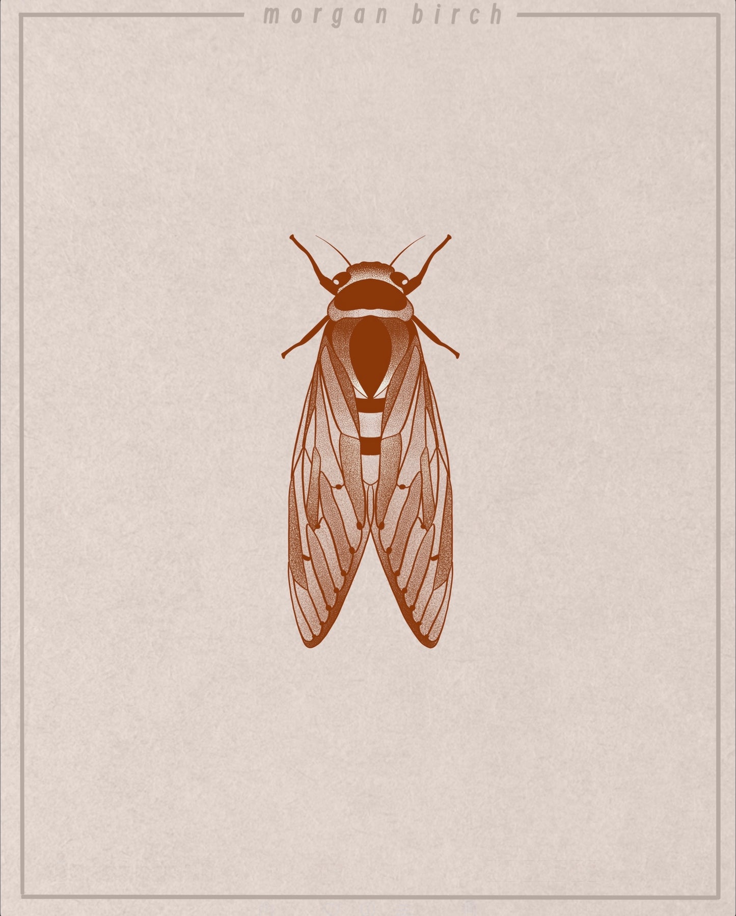 Cicada Flash