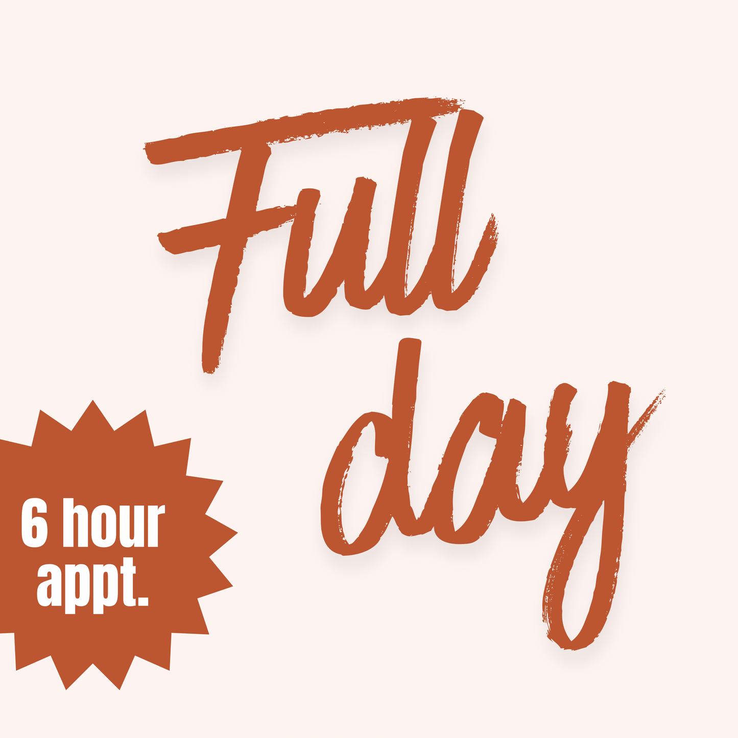 Full Day Appointment