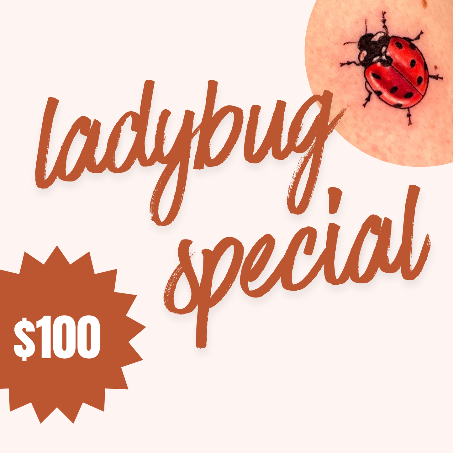Ladybug Special