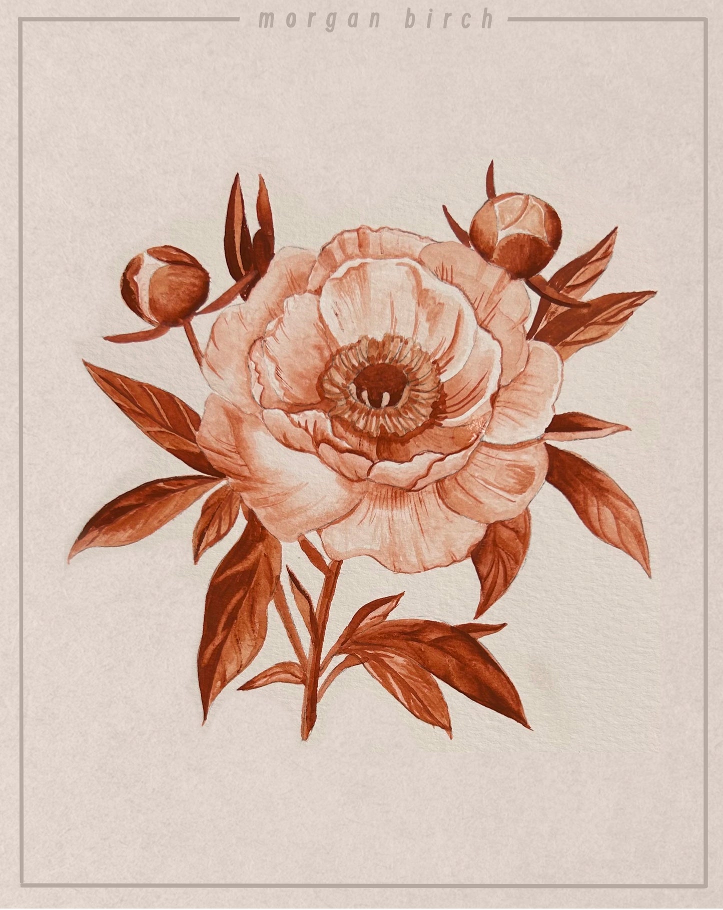 Peony Flash