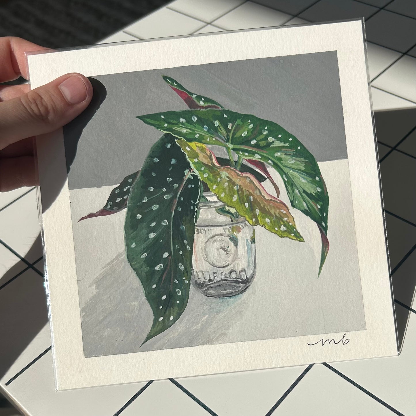 From the Archives Sale / Plant Portrait / Begonia