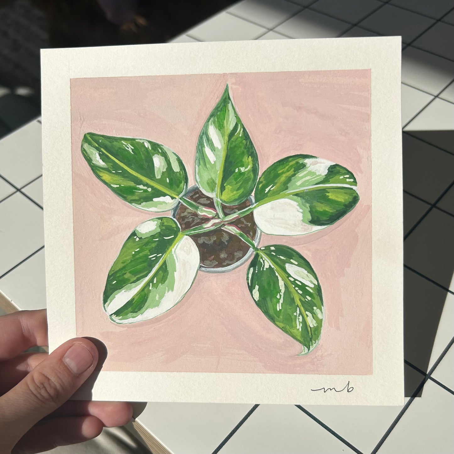 From the Archives Sale / Plant Portrait / White Wizard
