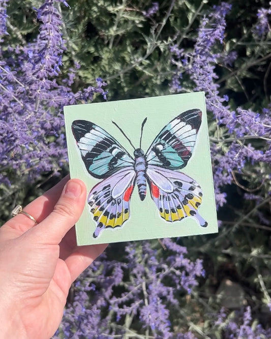 Flutter Original Painting