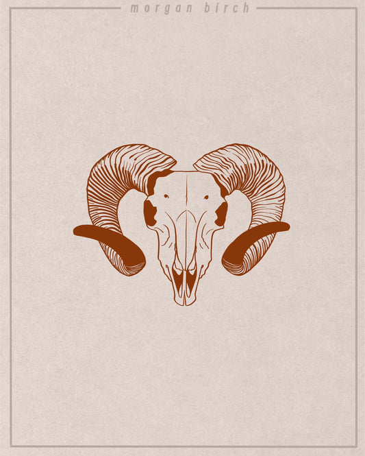 Skull Flash