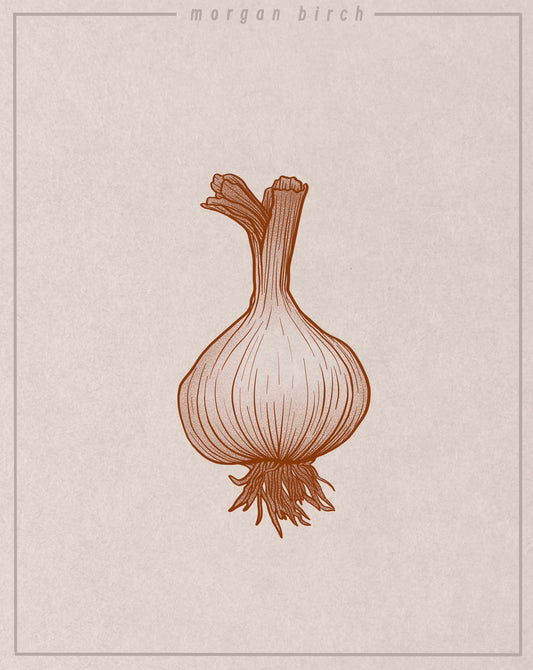 Garlic Flash