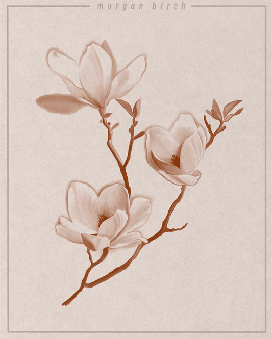 Magnolias Flash
