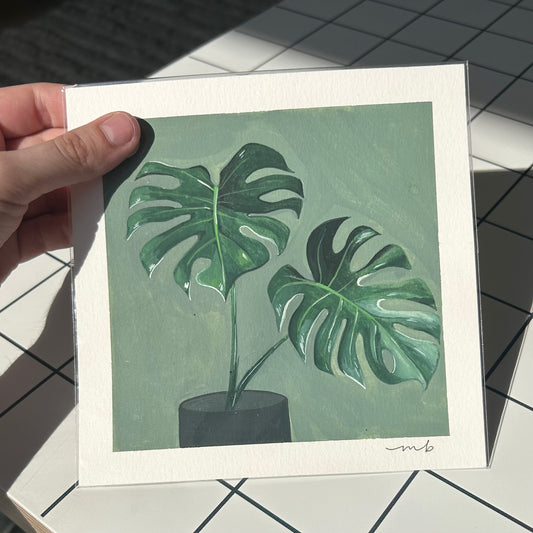 From the Archives Sale / Plant Portrait / Monstera