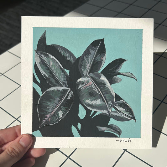 From the Archives Sale / Plant Portrait / Rubber Tree